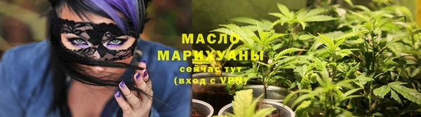 индика Мегион