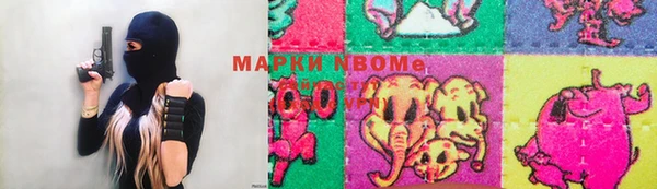 прущие грибы Абаза