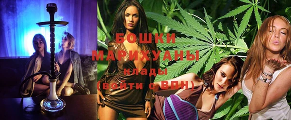 прущие грибы Абаза