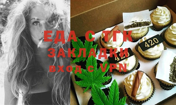индика Мегион