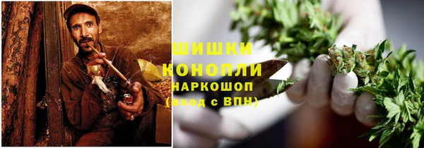 прущие грибы Абаза