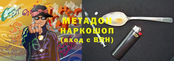 прущие грибы Абаза