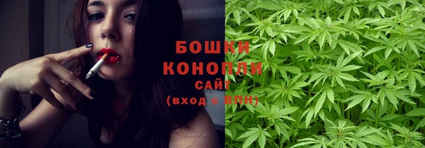 прущие грибы Абаза