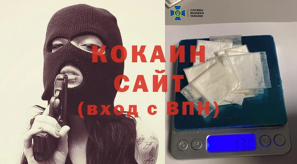 прущие грибы Абаза