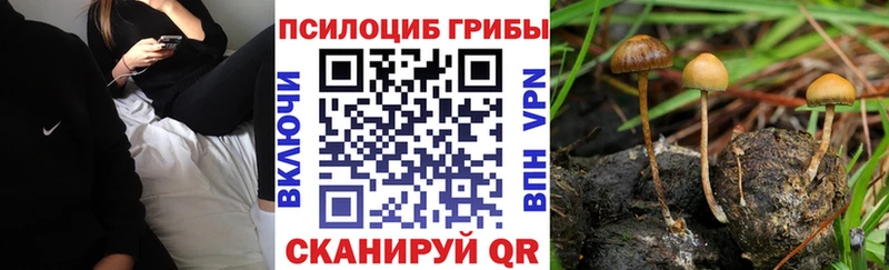 Галлюциногенные грибы мицелий  продажа наркотиков  блэк спрут ТОР  Горячеводский 